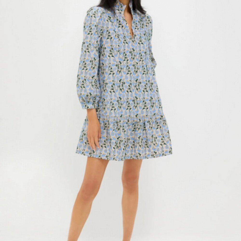 Blue Daisy Embroidered Palmerston Dress TUCKERNUCK size S NWT